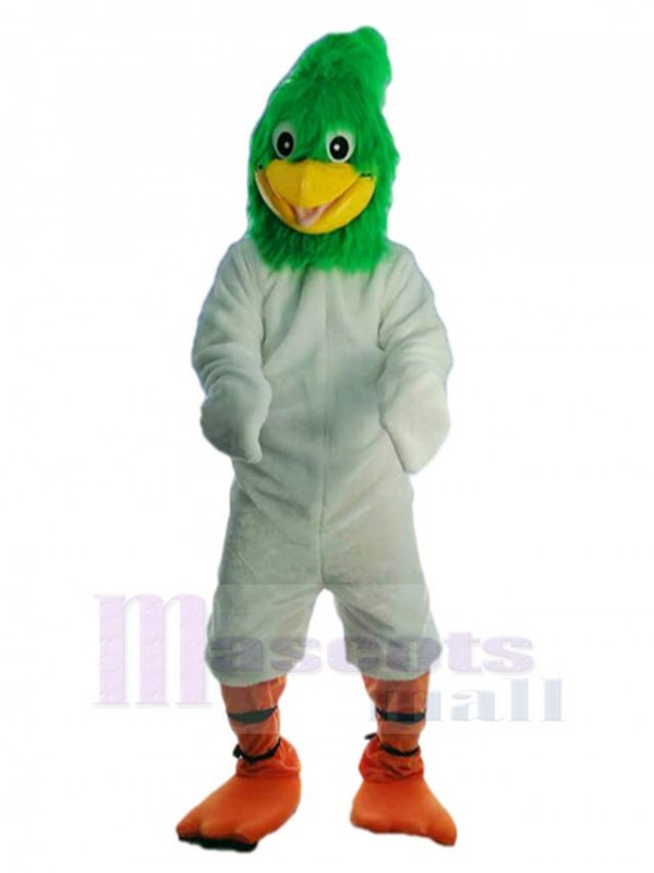 Pájaro disfraz de mascota