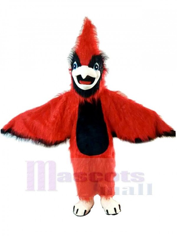 Pájaro disfraz de mascota