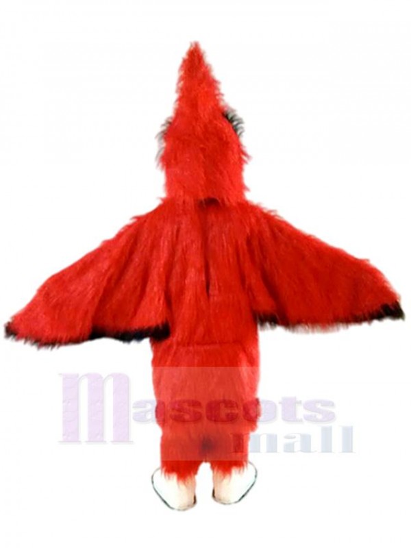 Pájaro disfraz de mascota