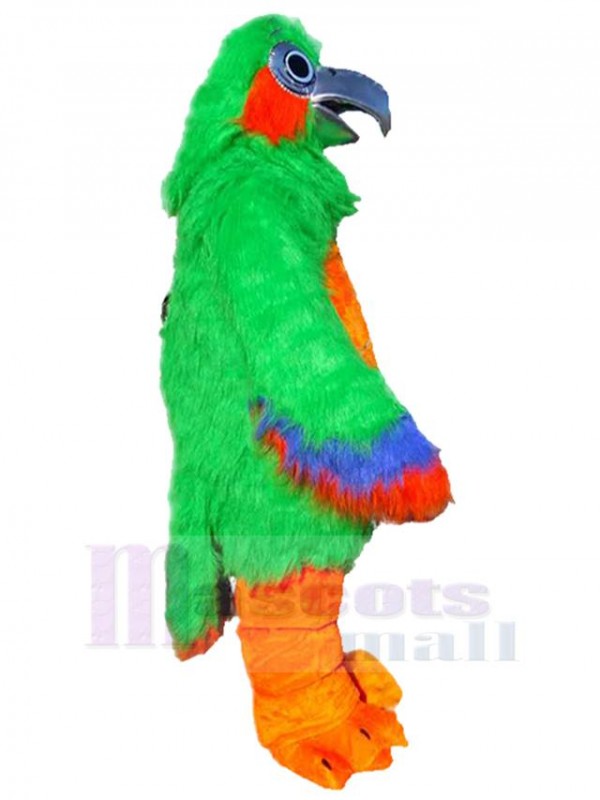 Pájaro disfraz de mascota