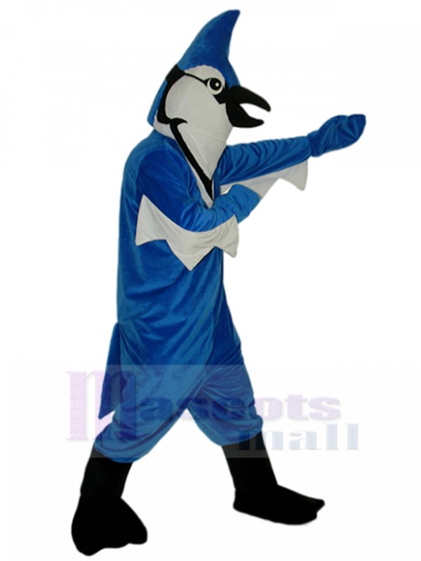 Pájaro disfraz de mascota