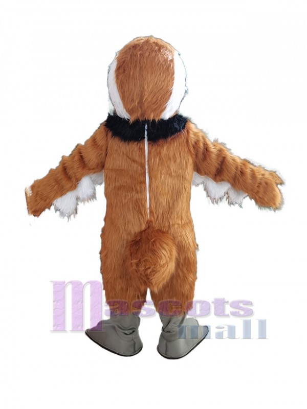pájaro codorniz disfraz de mascota