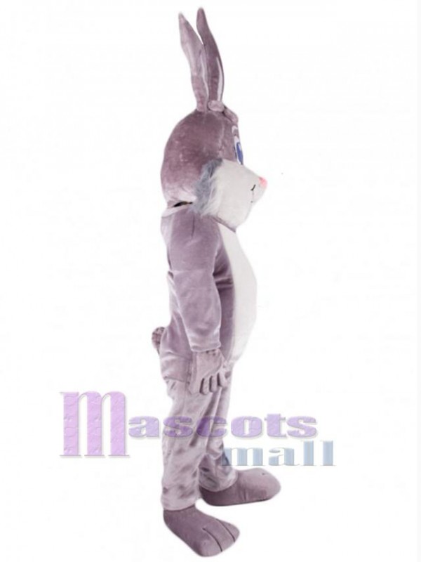 Conejo de Pascua disfraz de mascota