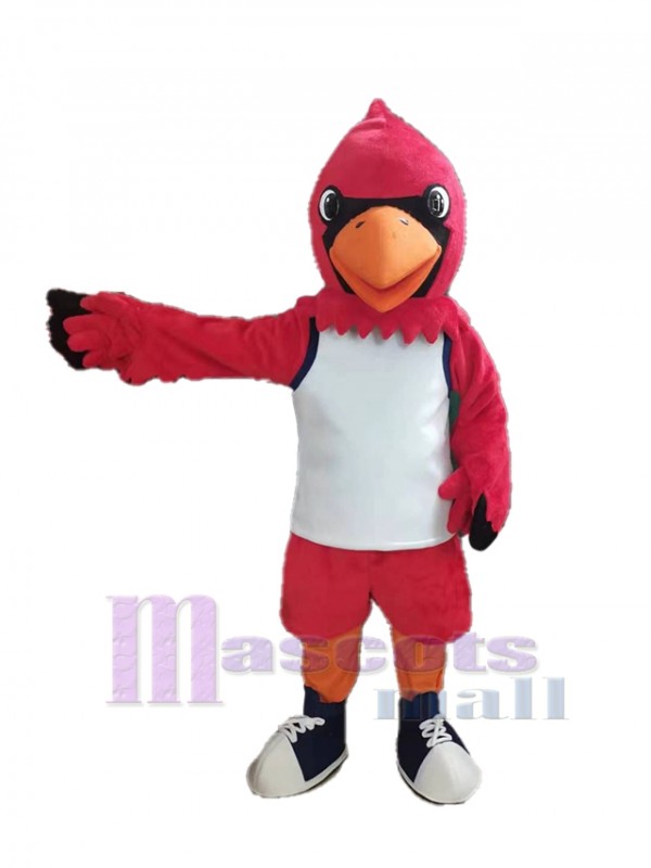 Cardenal Pájaro disfraz de mascota