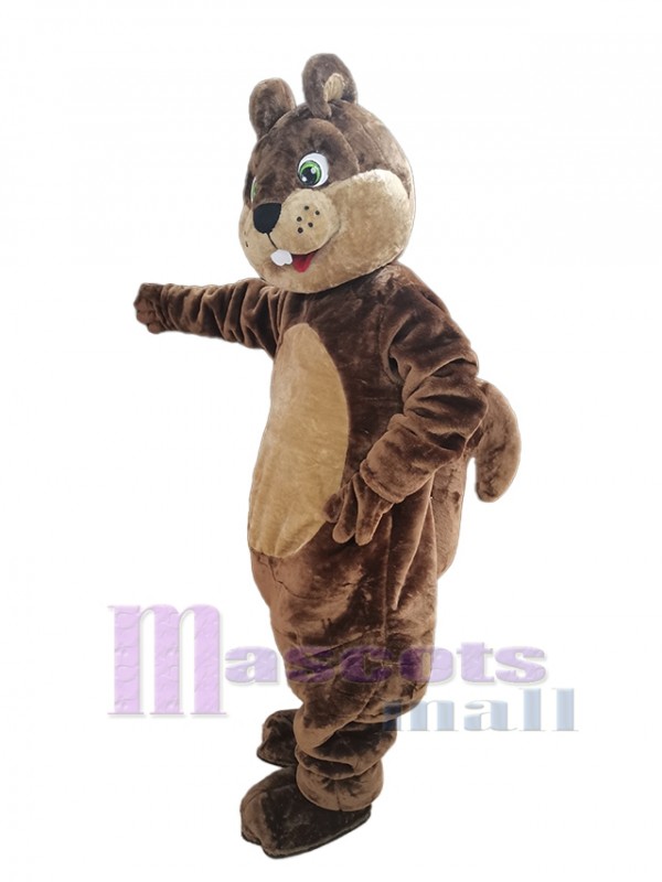 Ardilla disfraz de mascota