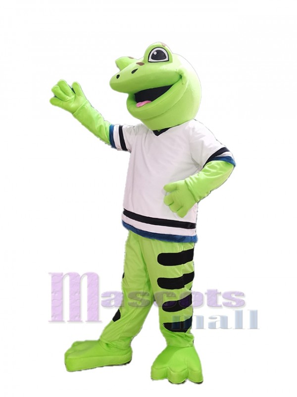 Rana disfraz de mascota