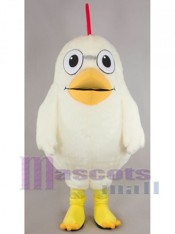 Pollo disfraz de mascota