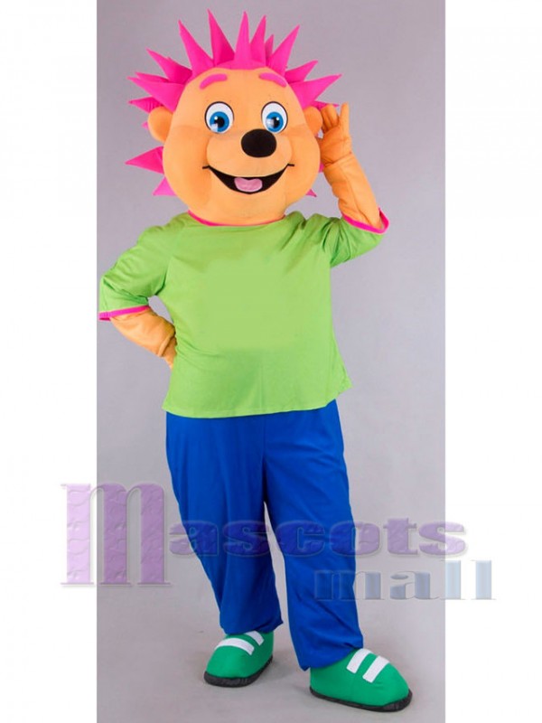 Erizo disfraz de mascota