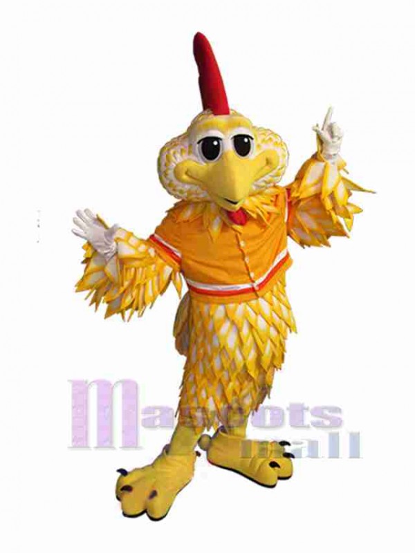 Pájaro disfraz de mascota