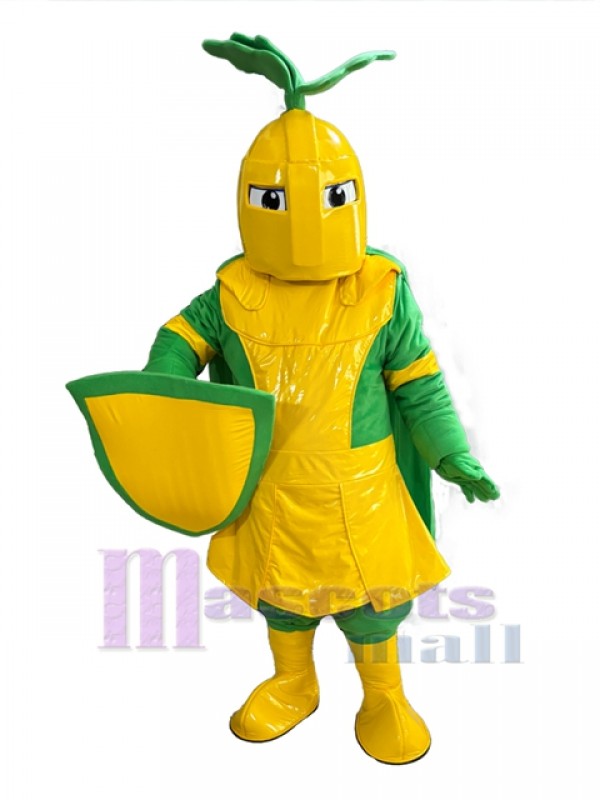 Caballero disfraz de mascota